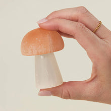 Load image into Gallery viewer, Selenite Mushroom - Tigertree

