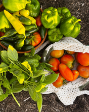 Load image into Gallery viewer, Crochet Produce Bag - Tomato
