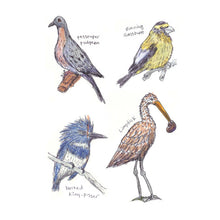 Load image into Gallery viewer, Field Guide to Dumb Birds Sticker Book - Tigertree
