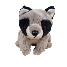 Load image into Gallery viewer, Rascal the Canned Raccoon - Tigertree
