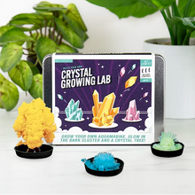 Load image into Gallery viewer, DIY Crystal Growing Kit for Kids
