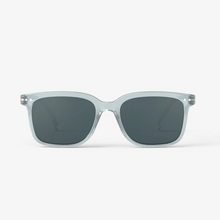 Load image into Gallery viewer, Sunglasses #L - Tigertree
