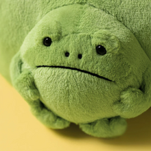 Load image into Gallery viewer, Ricky Rain Frog Pouch
