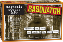 Load image into Gallery viewer, Magnetic Poetry Kit
