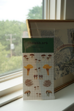 Load image into Gallery viewer, Mushrooms Sticker Sheet 4x6
