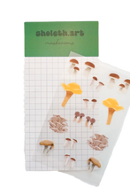 Load image into Gallery viewer, Mushrooms Sticker Sheet 4x6
