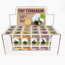 Load image into Gallery viewer, Tiny Cactus Terrarium - Tigertree

