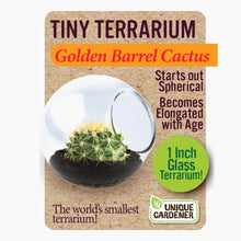 Load image into Gallery viewer, Tiny Cactus Terrarium - Tigertree
