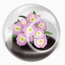 Load image into Gallery viewer, Tiny Carnivorous Glass Terrarium - Tigertree
