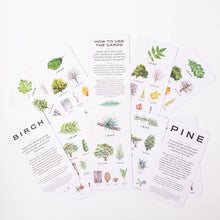 Load image into Gallery viewer, Tree Vision: Know Your Trees in Thirty Cards - Tigertree
