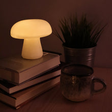 Load image into Gallery viewer, Large Mushroom Light - Tigertree
