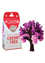 Load image into Gallery viewer, Cherry Tree Crystal Growing Kit - Tigertree
