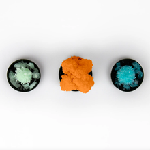 Load image into Gallery viewer, Crystal Growing Kit - Tigertree
