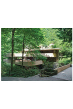 Load image into Gallery viewer, Double Sided Fallingwater Puzzle - Tigertree
