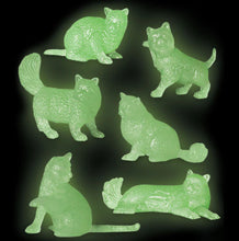 Load image into Gallery viewer, Glow Cats - Tigertree
