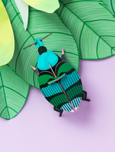 Load image into Gallery viewer, Weevil Beetle - Tigertree
